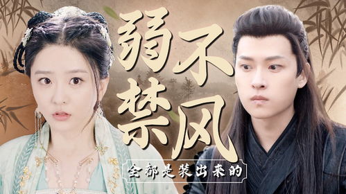 姻缘大人请留步小巷歌词(姻缘大人请留步男一号是谁)