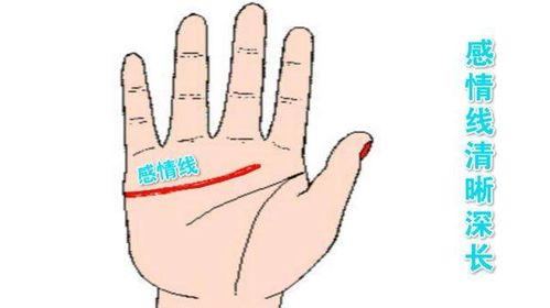 晚年姻缘最好的手相图解(晚年婚姻应该追求什么)
