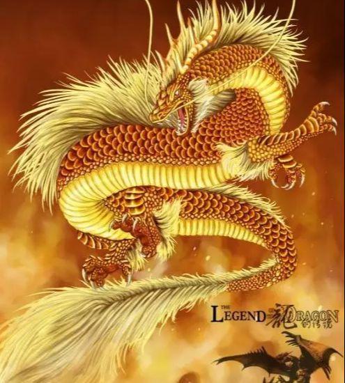 属龙中注定的姻缘是(属龙人的姻缘)