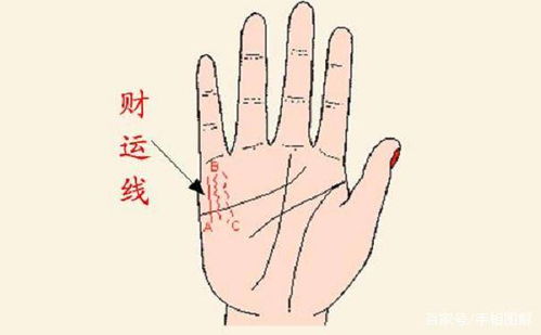 手相图解大全男姻缘图(手相图解手相男)