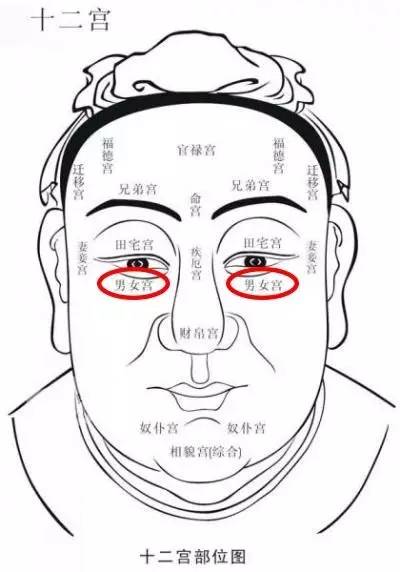 姻缘线杂乱的男人面相(姻缘线杂乱的男人面相怎么样)