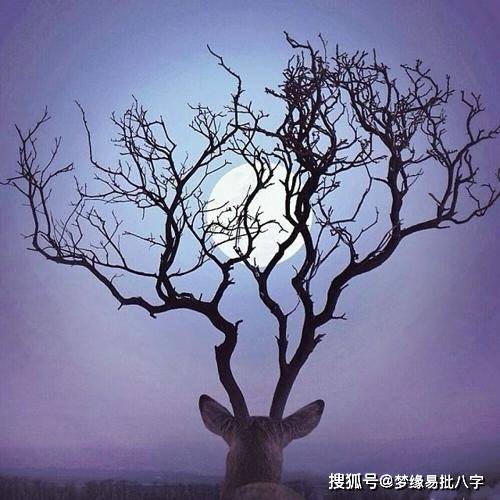 命理看姻缘好坏准吗(命格看姻缘)