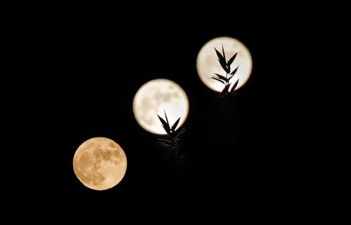 明月夜深丝竹下姻缘签(明月夜深丝竹下,静中好听凤凰声)