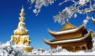 峨眉山能求姻缘嘛(峨眉山哪里求签最灵验)