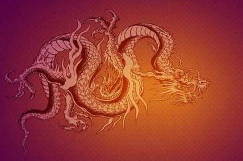 属龙女姻缘什么时候到来(属龙女婚姻状况)
