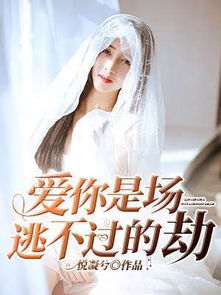 逃不了姻缘小说沈修瑾(逃不了免费阅读)