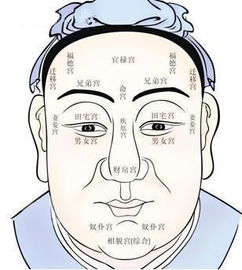 女人的面相看姻缘准吗(女人面相看配偶)