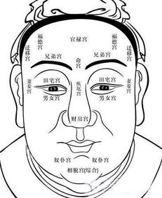 从人面相看姻缘准吗(看面相就能看出两个人姻缘吗)