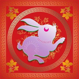 金龙与兔的姻缘合不合(属龙金命和属兔土命人相合吗)