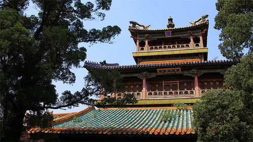圆融寺姻缘殿开放时间(圆融寺开放吗)