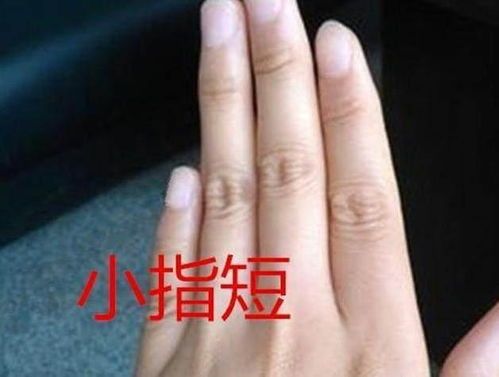 手相怎么看儿女多少姻缘(手相怎么看子女)