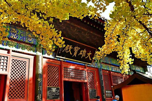 重庆姻缘寺庙灵验排名榜(重庆求姻缘的地方)