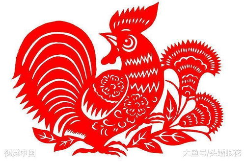 97年属鸡男的姻缘运势(属鸡97年一生婚姻状况)