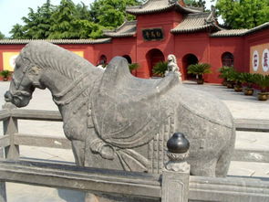 洛阳白马寺求姻缘(洛阳白马寺求姻缘灵吗)