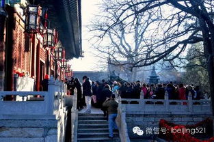 在北京哪里可以求姻缘的(北京什么地方可以求姻缘)