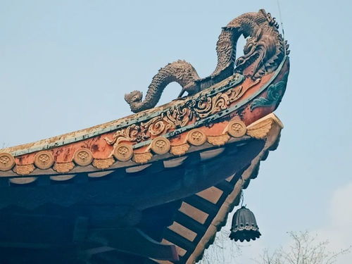 求姻缘的寺院广州有吗(广州市求姻缘去哪最灵)