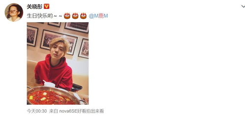 婚介所的好姻缘台词(婚介所语录)