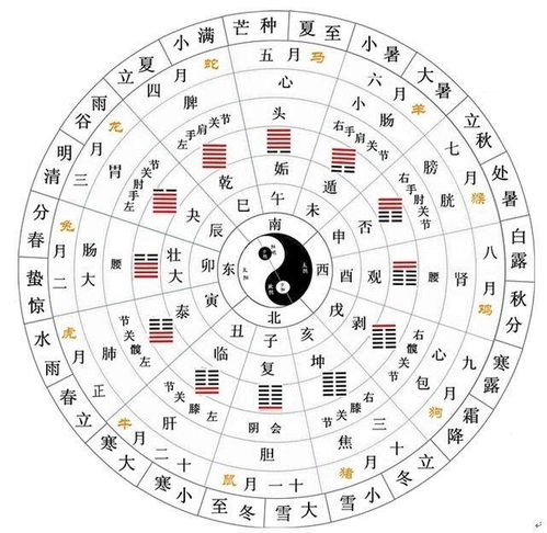 64卦第64卦问姻缘