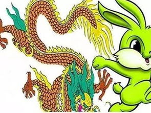 二零二二年属龙姻缘如何(2022年属龙的婚姻状况)