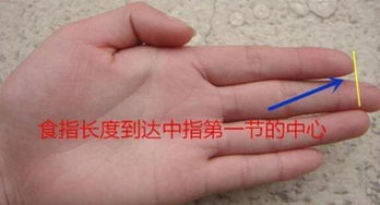 手掌姻缘看哪里比较好(看手掌纹算命运婚姻线)