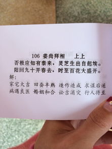 姻缘签乌鸦集噪解签(2ba乌鸦)