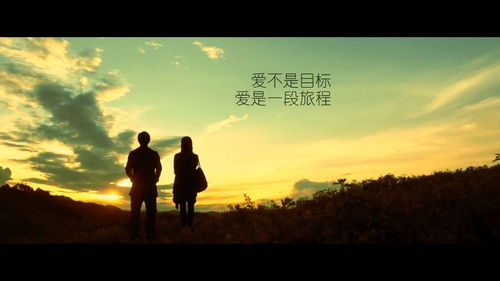 姻缘自然是什么意思(姻缘自有天注定下一句)