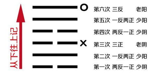 六爻占卜姻缘准么(六爻占卜姻缘准么)