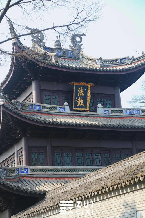 重庆哪个庙求姻缘很灵(重庆哪个庙求财比较准)