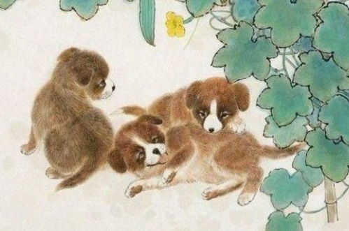龙和狗会有姻缘吗吗(龙和狗的姻缘怎么样)