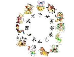 96年属鼠子时女孩姻缘(96年属鼠子女怎么样)