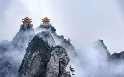 老君山算姻缘准吗(老君山是求姻缘的嘛)
