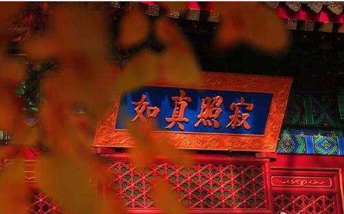 男人带情人去寺庙求姻缘(男人要带情人出去玩代表什么?