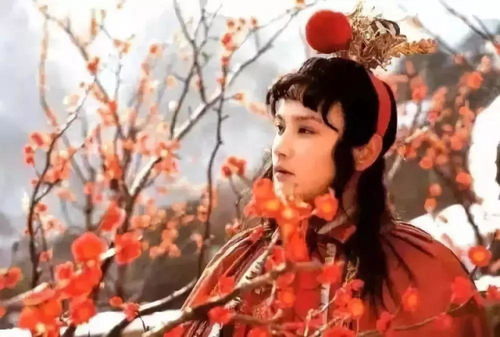 红楼梦人物前世姻缘图片(红楼梦人物前世姻缘图片高清)
