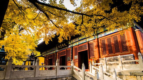 山西夏县哪个山求姻缘(山西求婚姻哪个寺庙最灵验)