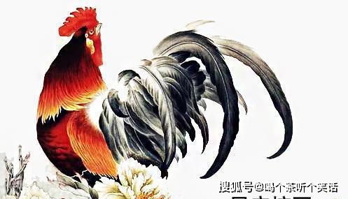 男属鸡女属蛇姻缘如何(男属鸡与女属蛇)
