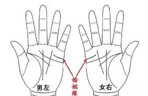 晚年有姻缘的手相图解(晚年运势比较好的手相)