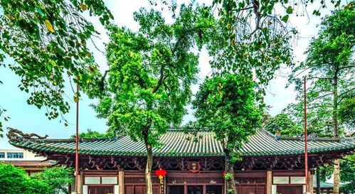 哪个寺庙求姻缘的最灵验(哪个寺庙求姻缘最准)
