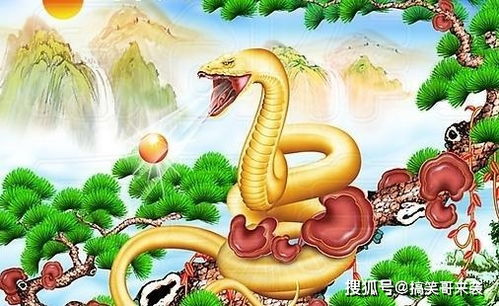 蛇人遇兔年姻缘如何破解(蛇人遇兔年的运势如何)