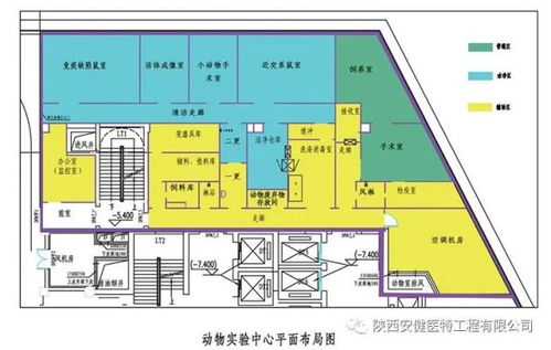去求姻缘要注意的事项(去求姻缘要做些什么)