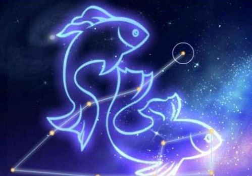 未来三天遇姻缘的星座(未来三天星座运势)