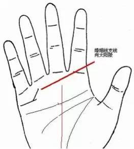 姻缘线怎样才算好图片(姻缘线在哪个位置)
