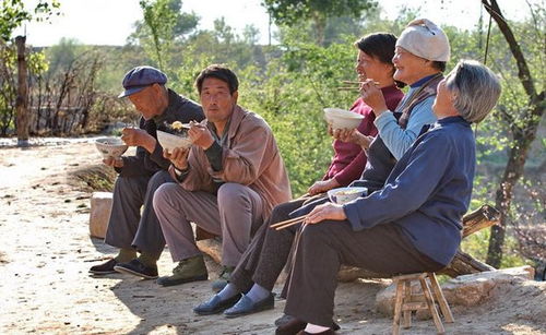 农村小伙去深圳找姻缘师(农村小伙去深圳找姻缘师视频)