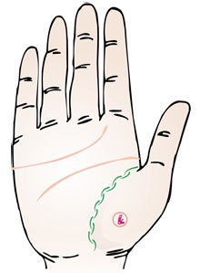 帝师讲解手掌姻缘线(手上姻缘线怎么看)