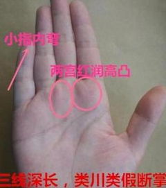 五根手指测姻缘准吗(五根手指测姻缘准吗女生)