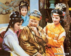 红楼梦之前世姻缘好句(红楼梦前情)
