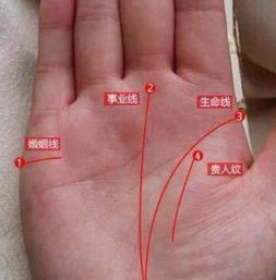 手纹比较乱怎么看姻缘(手纹比较乱怎么看姻缘呢)