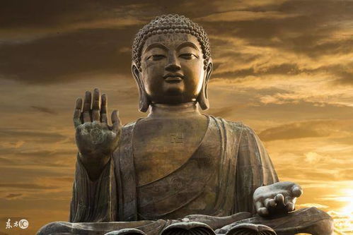 人与皮俑的前世姻缘(人与皮俑的前世姻缘是什么)