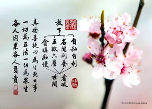 替女儿求姻缘念什么经(替女儿求姻缘念什么经最好)