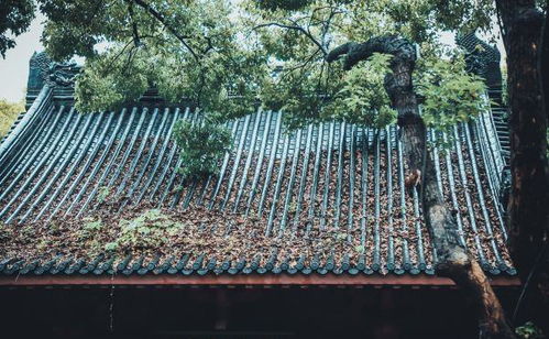 城隍庙 求姻缘灵不灵(城隍庙求姻缘灵吗)