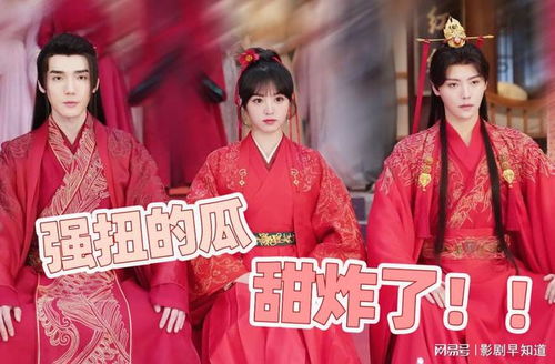 姻缘大人请留步点燃TV(姻缘大人请留步电视剧谁主演)